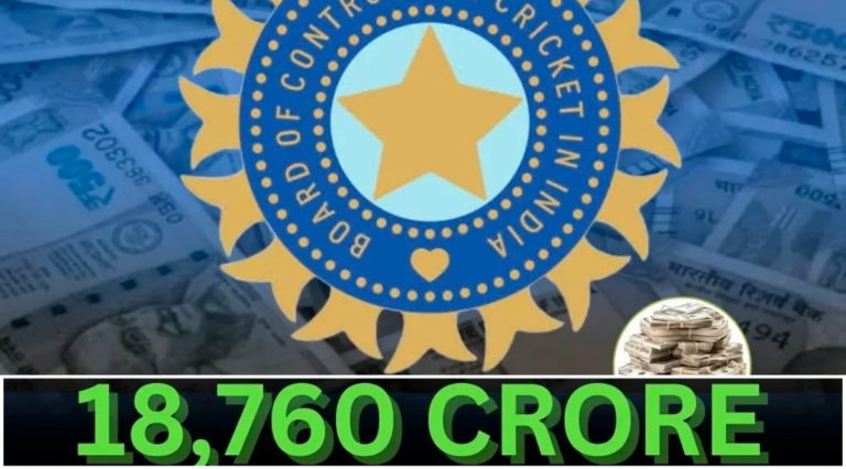 BCCI Net Worth In 2024