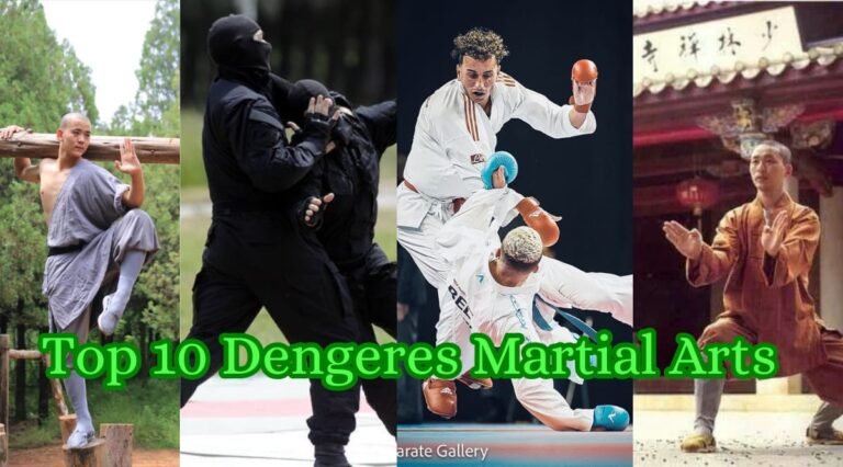 The Top 10 Deadliest Martial Arts in the World