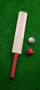 History of cricket bat 